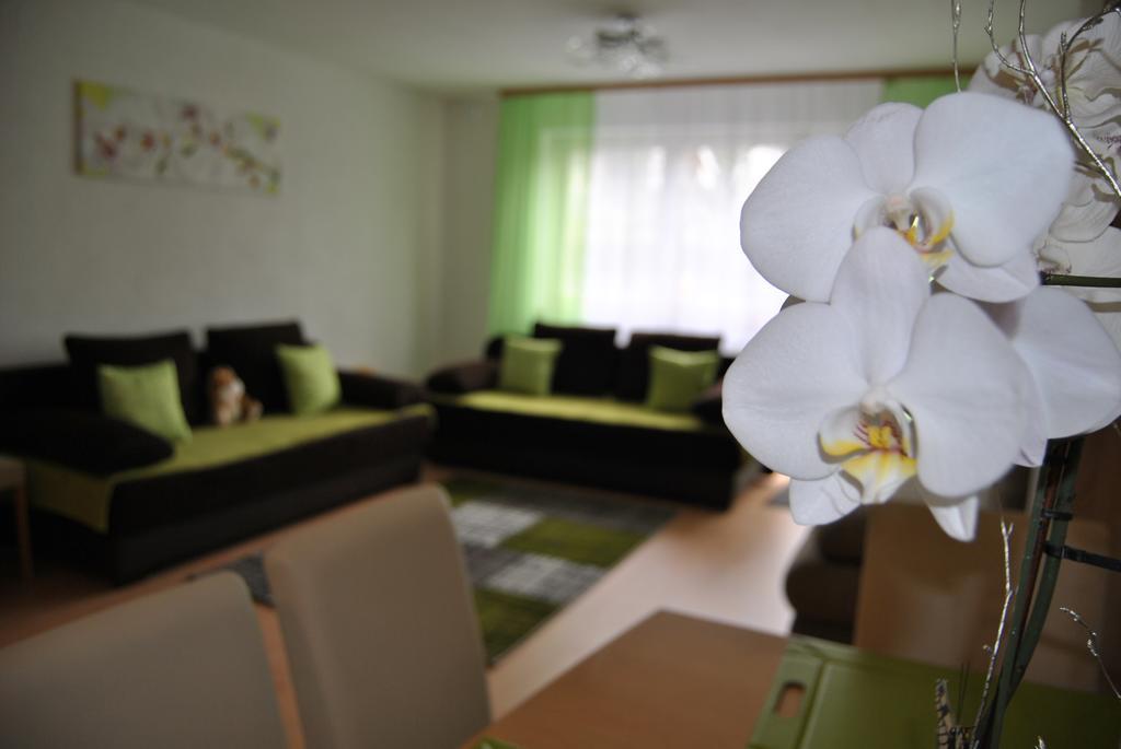 Apartment Zakharov Lahr (Baden-Wurttemberg)